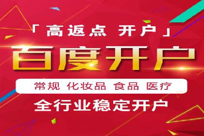 百度广告投放技巧与案例分享